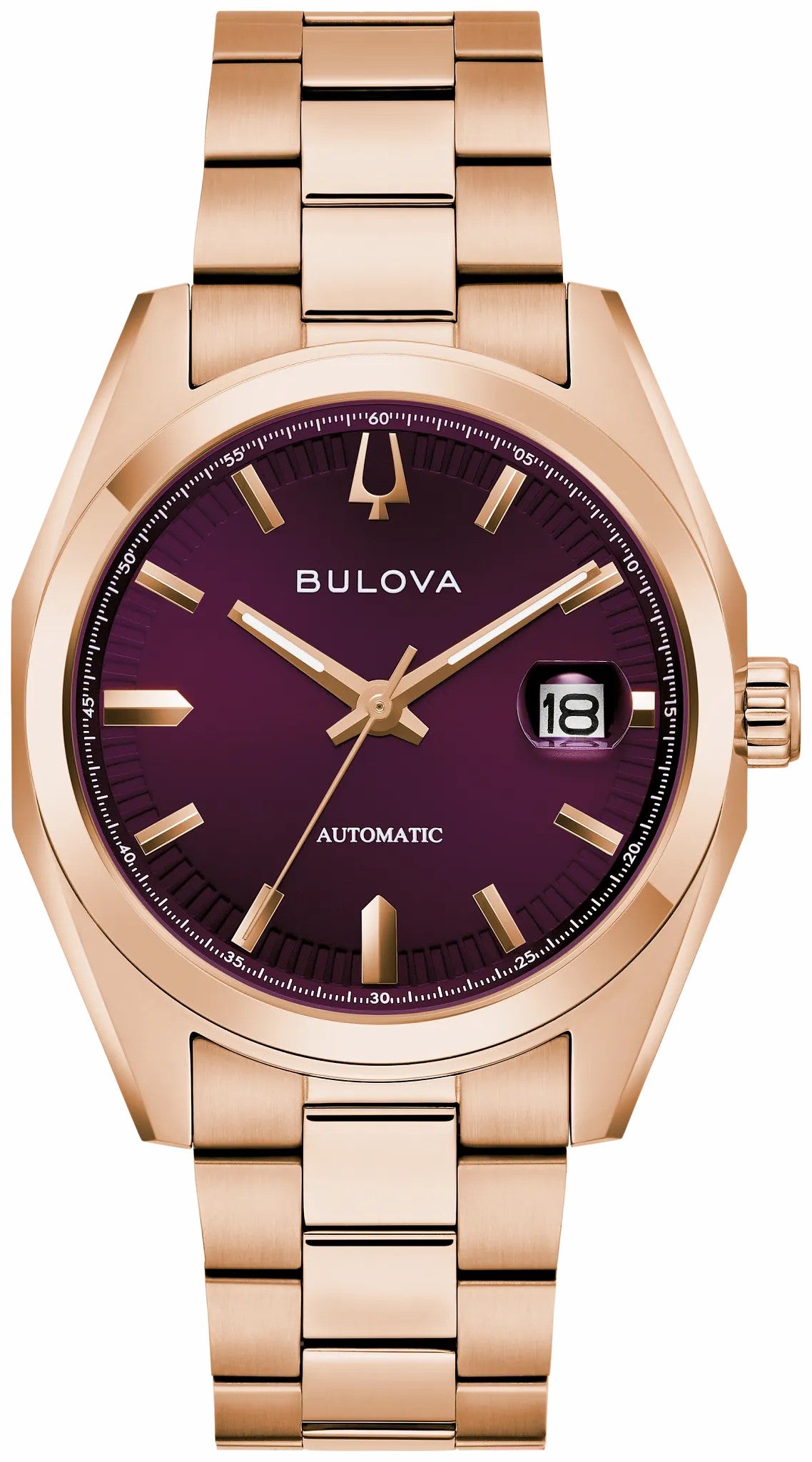 Surveyor - Bulova Everyday