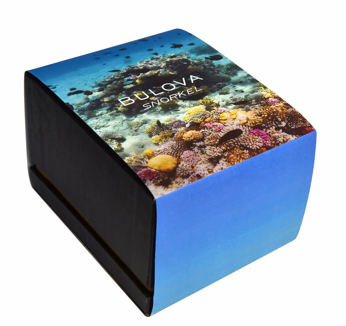Snorkel - Clownfish - Bulova Classic